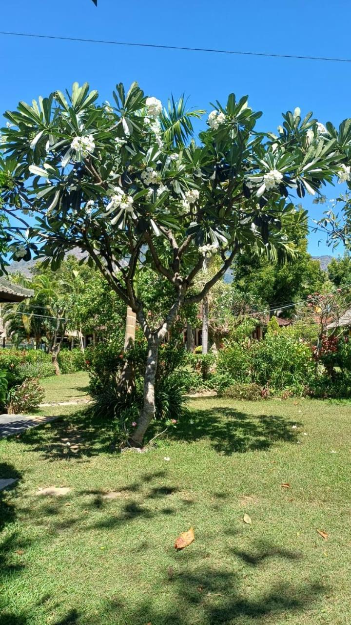 The Beach Bungalows & Turtle Sanctuary Pemuteran  Bagian luar foto